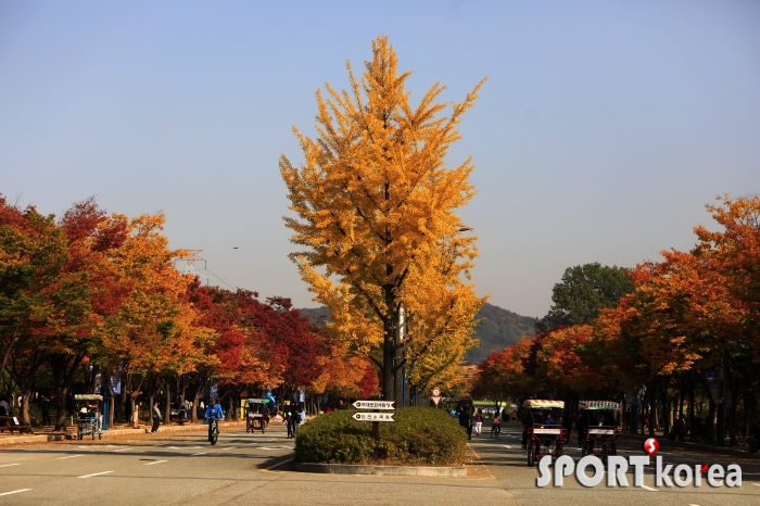 2018년 10월 20일 '인천대공원' 정문 쪽 단풍 스케치 3.jpg
