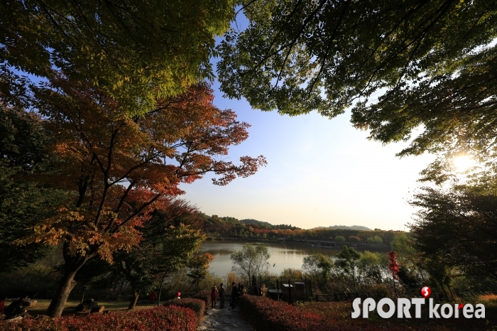 2018년 10월 20일 '인천대공원' 호수 주변 단풍 스케치 5.jpg